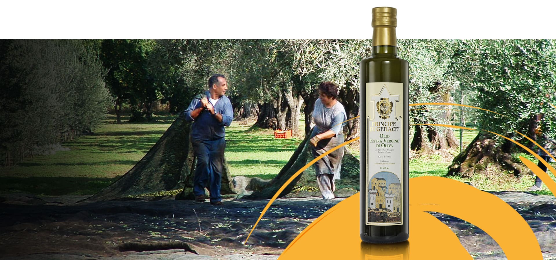 Mediterranea Foods