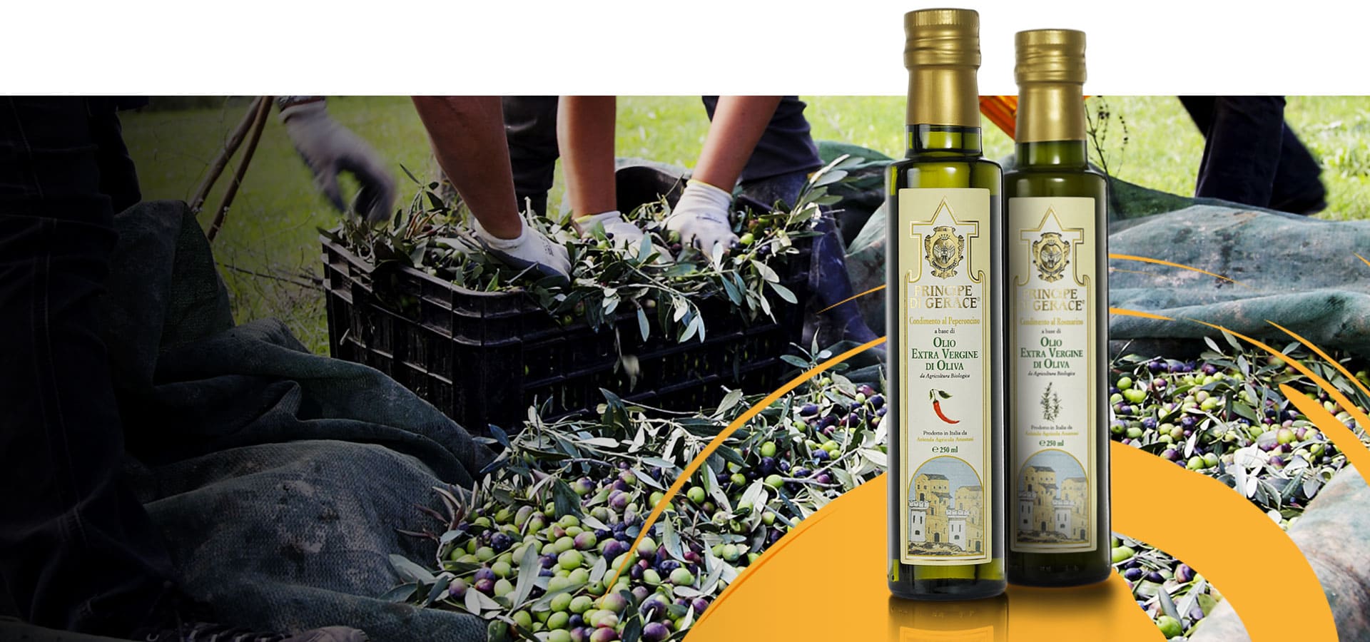 Mediterranea Foods